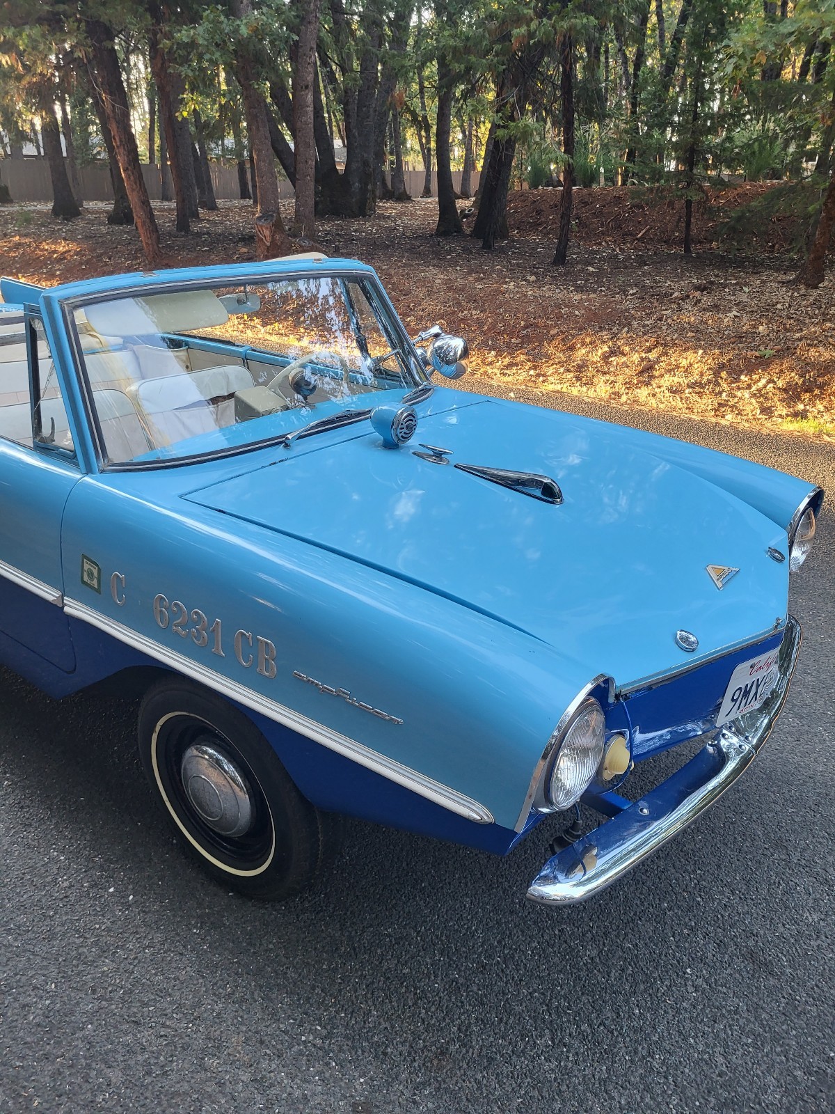 Other-Makes-Amphicar-770-1962-24