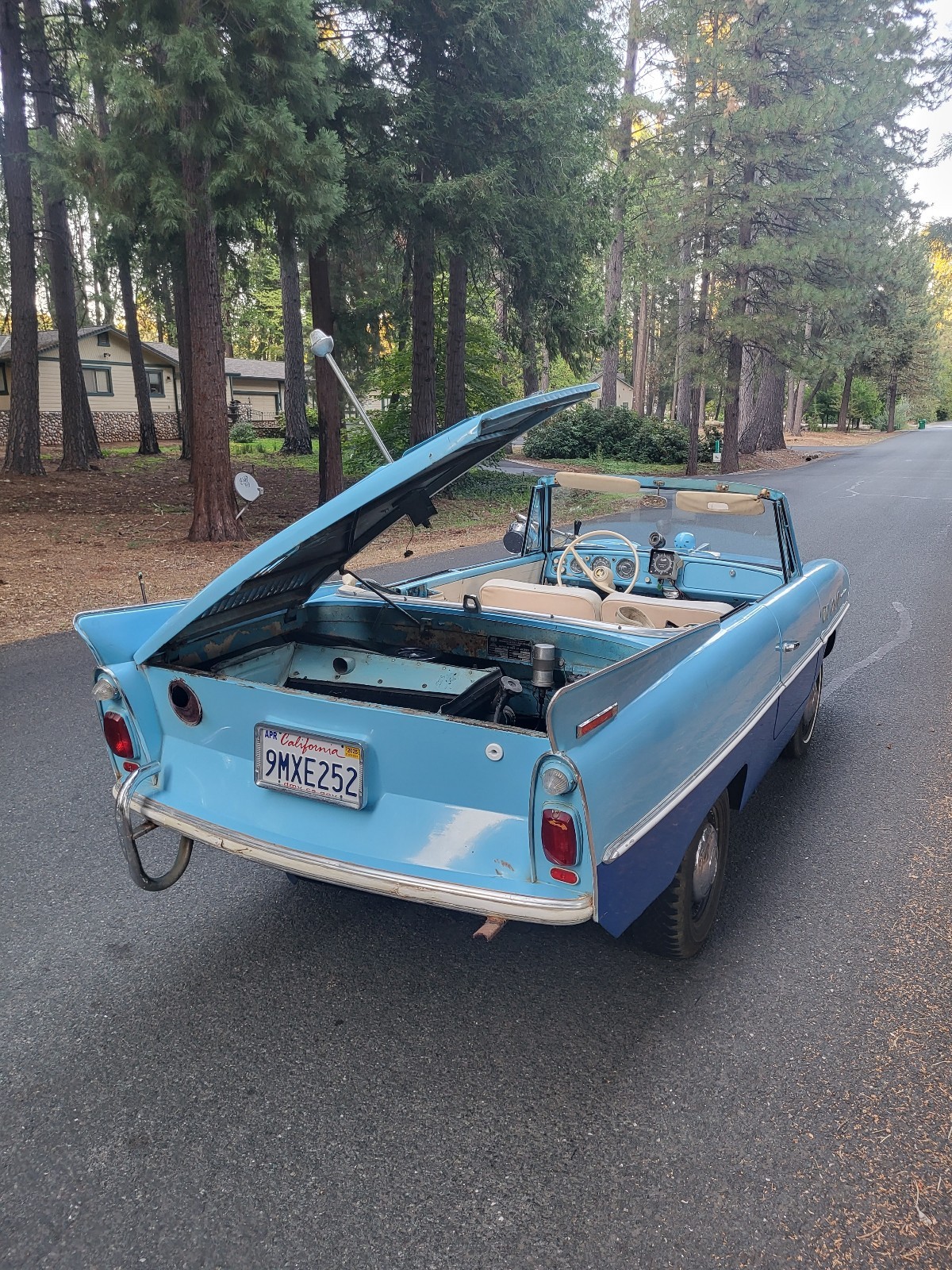 Other-Makes-Amphicar-770-1962-29
