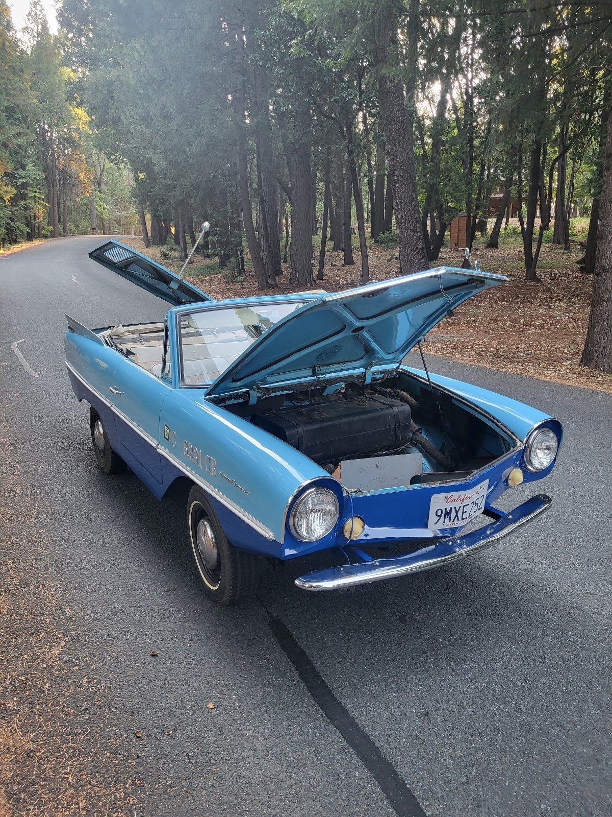 Other-Makes-Amphicar-770-1962-31