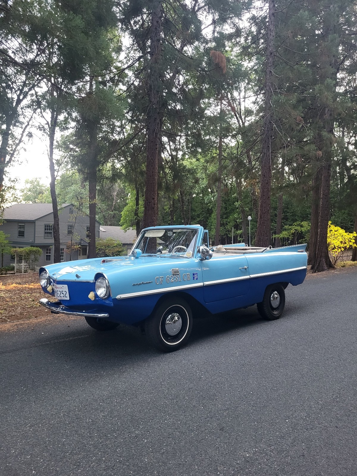 Other-Makes-Amphicar-770-1962-32