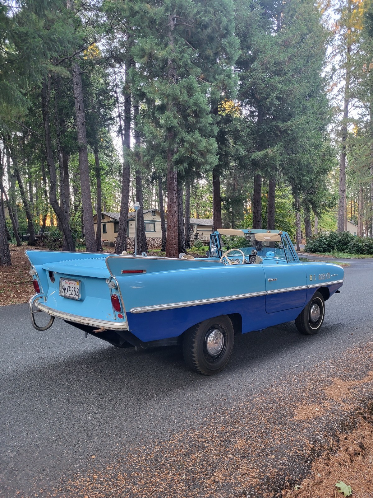 Other-Makes-Amphicar-770-1962-34
