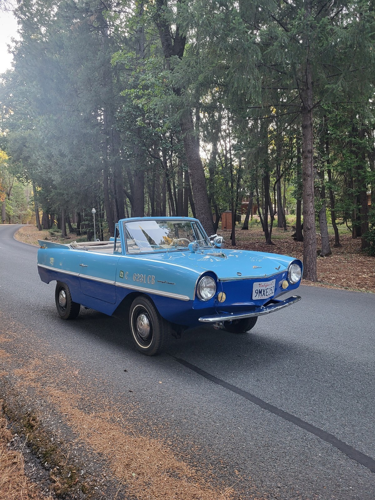 Other-Makes-Amphicar-770-1962-35