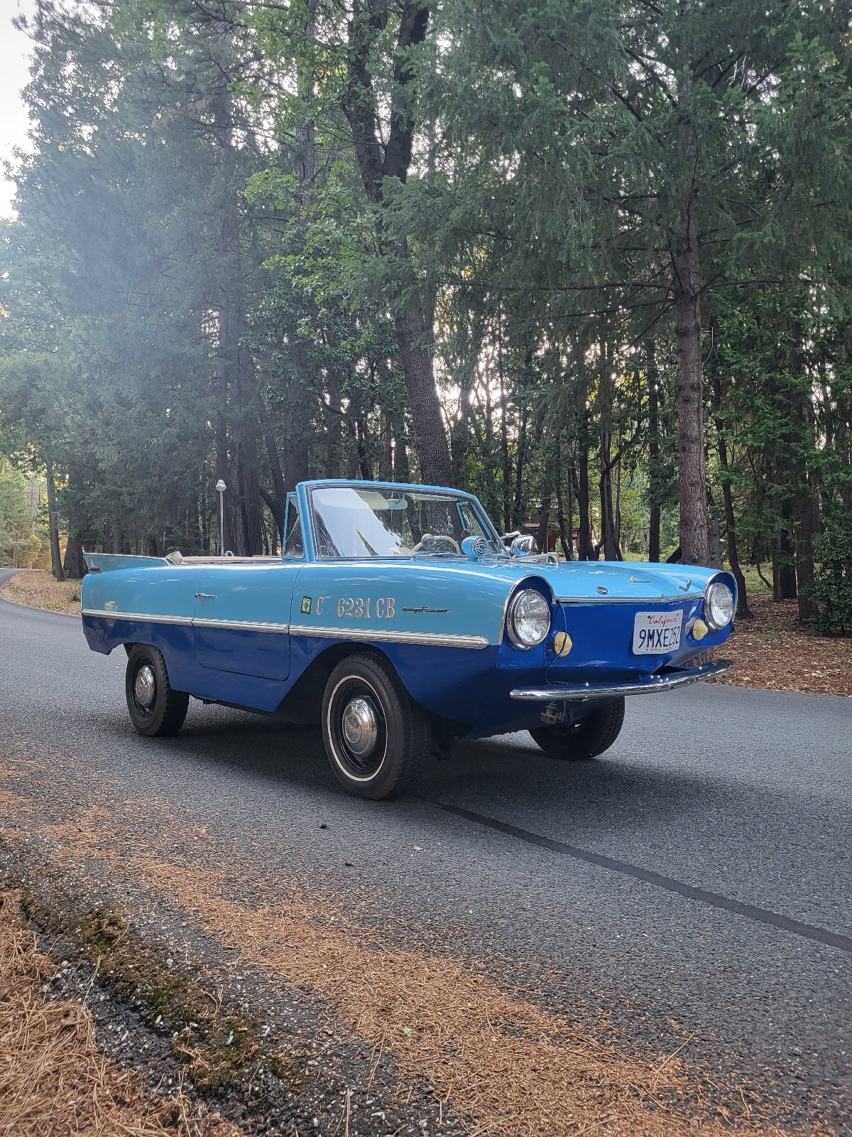 Other-Makes-Amphicar-770-1962-36
