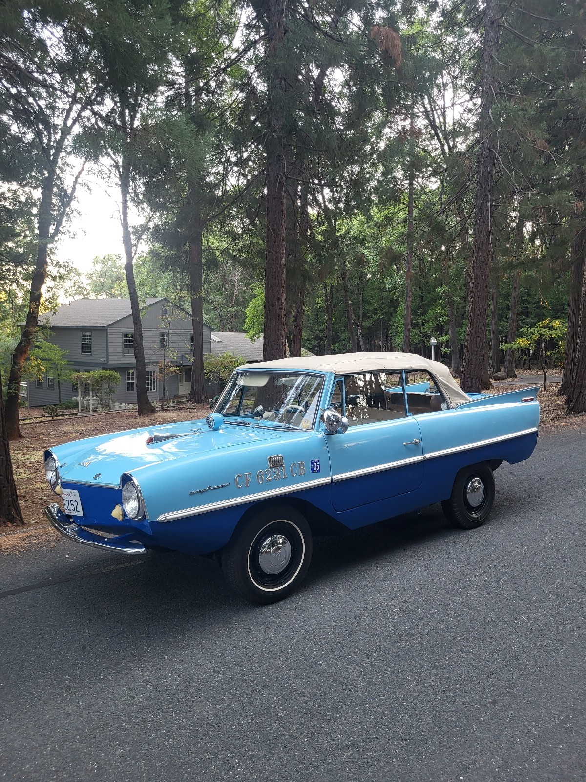 Other-Makes-Amphicar-770-1962-39