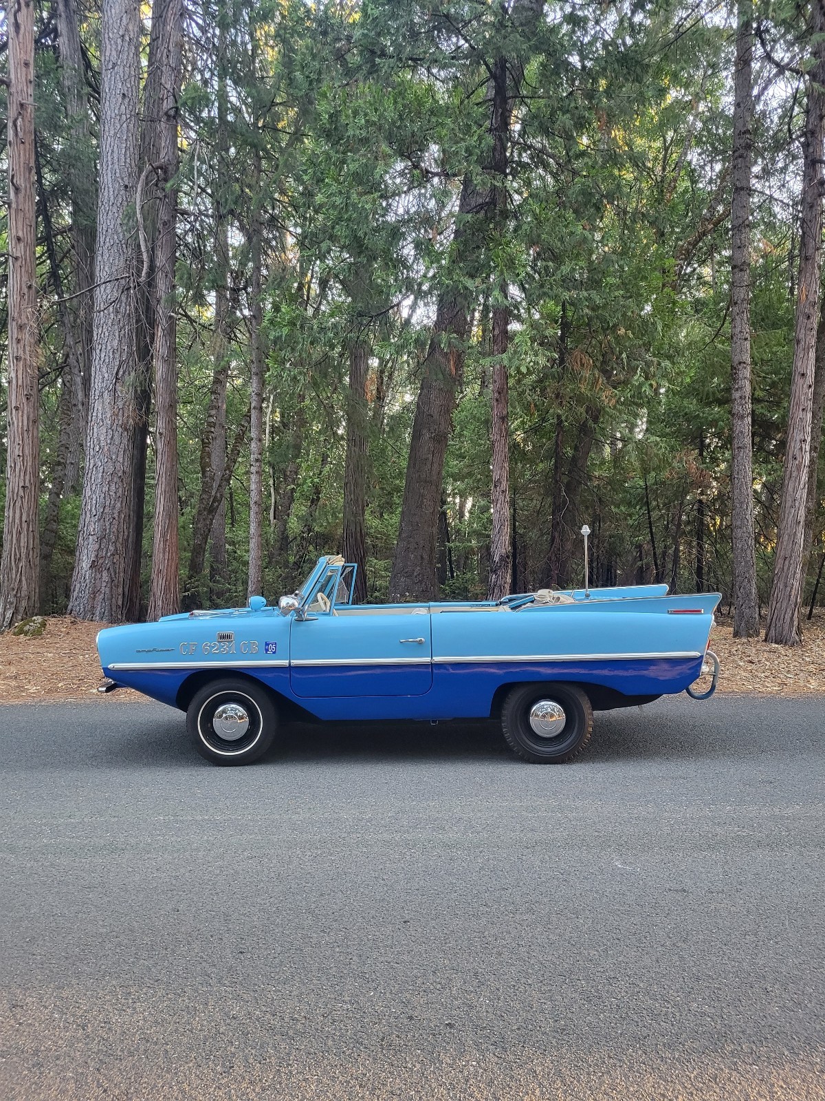 Other-Makes-Amphicar-770-1962-4