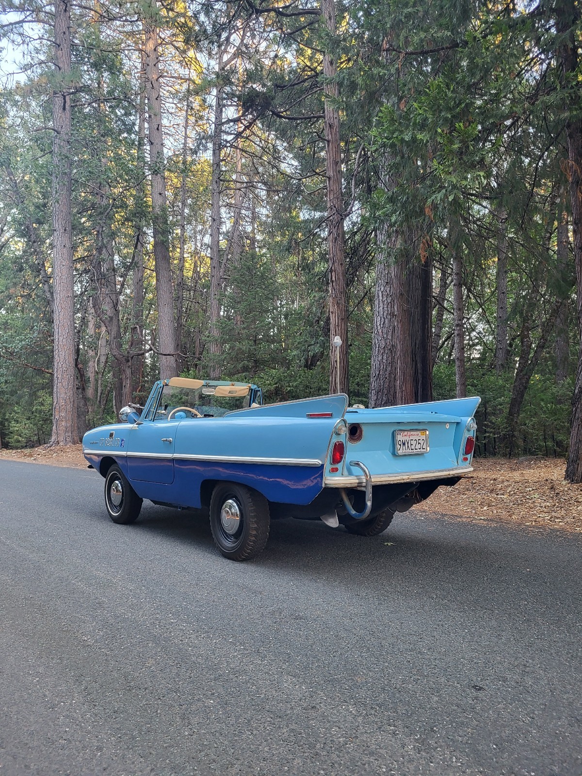 Other-Makes-Amphicar-770-1962-5