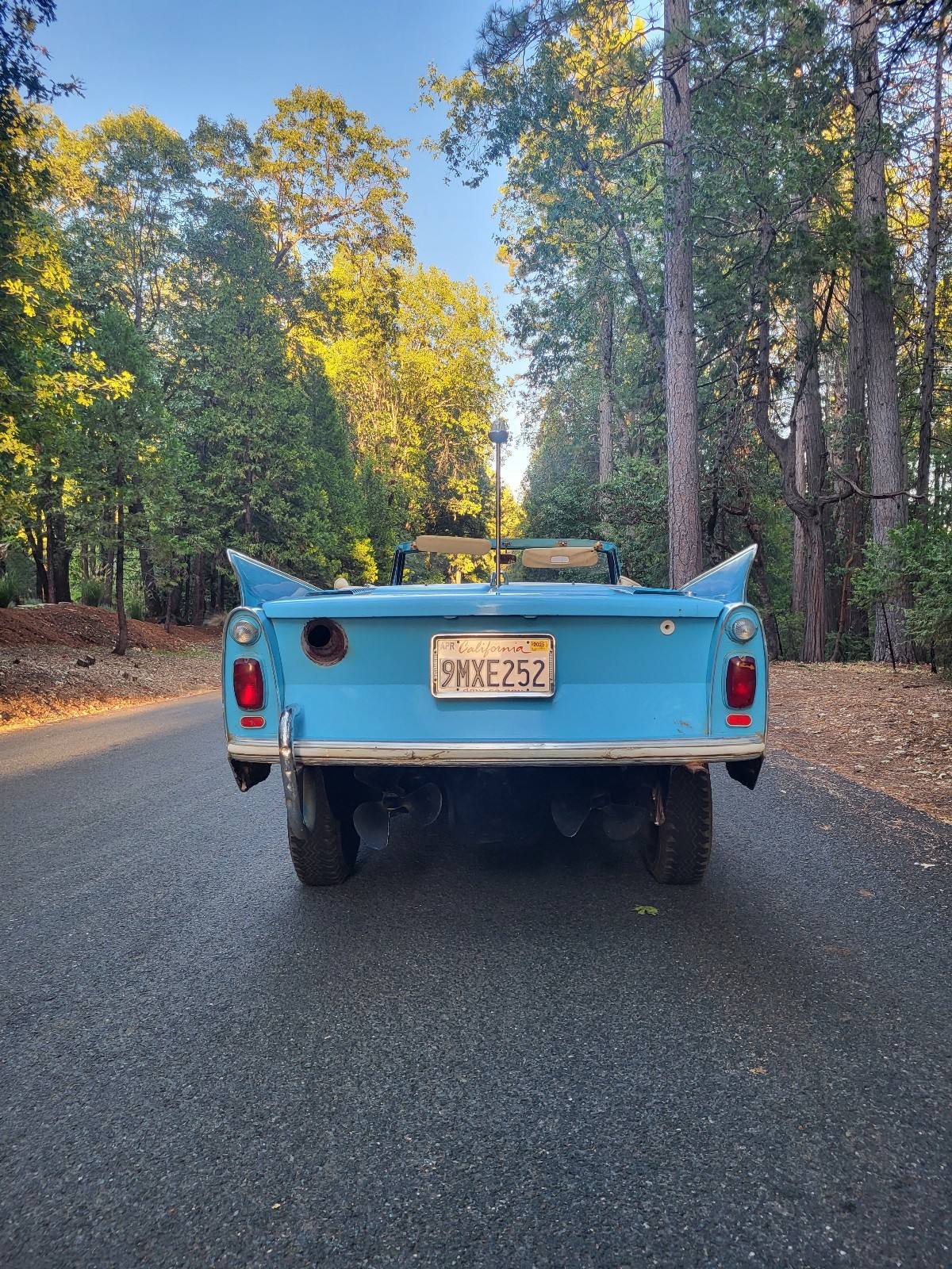 Other-Makes-Amphicar-770-1962-6