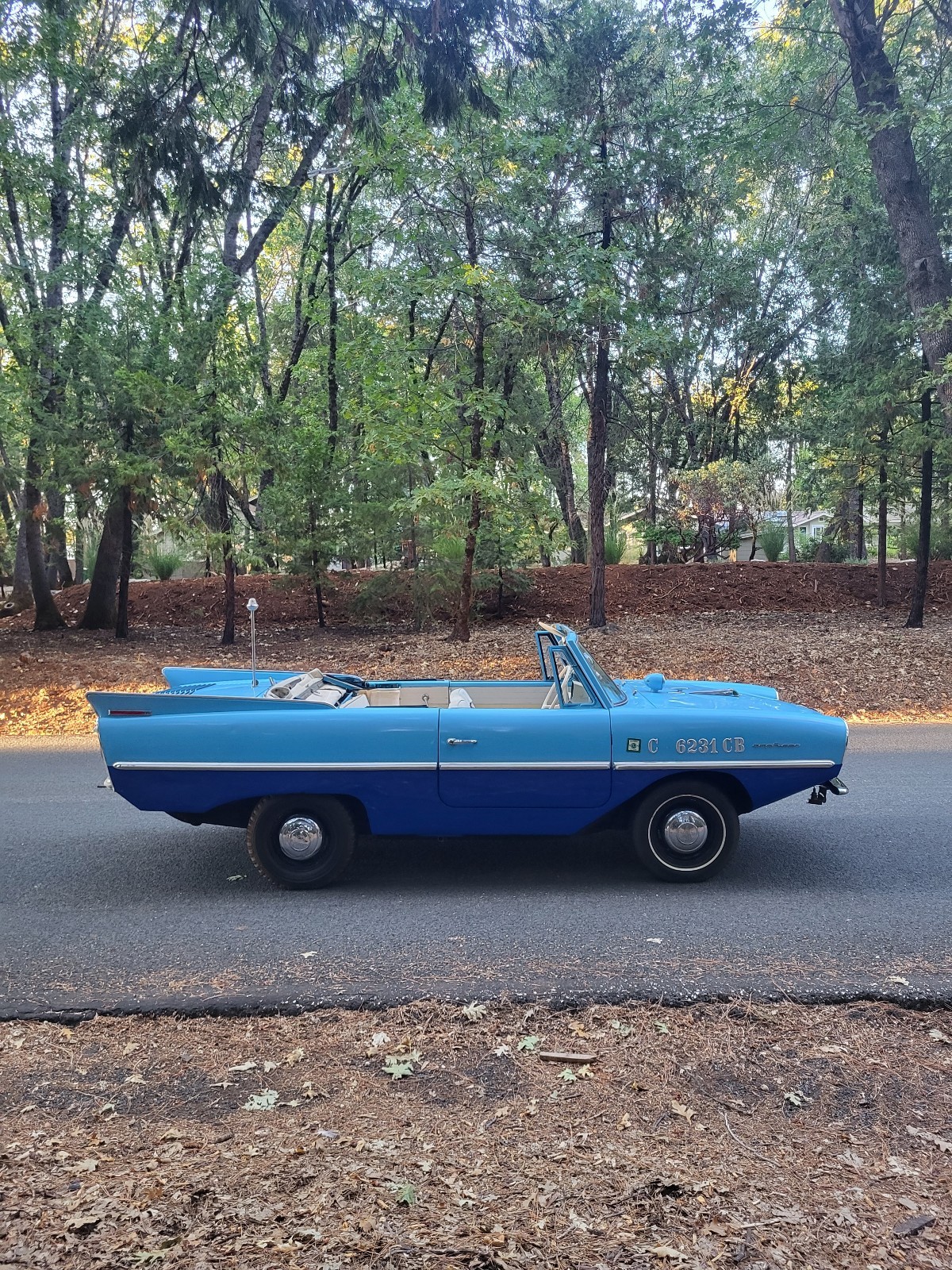 Other-Makes-Amphicar-770-1962-8