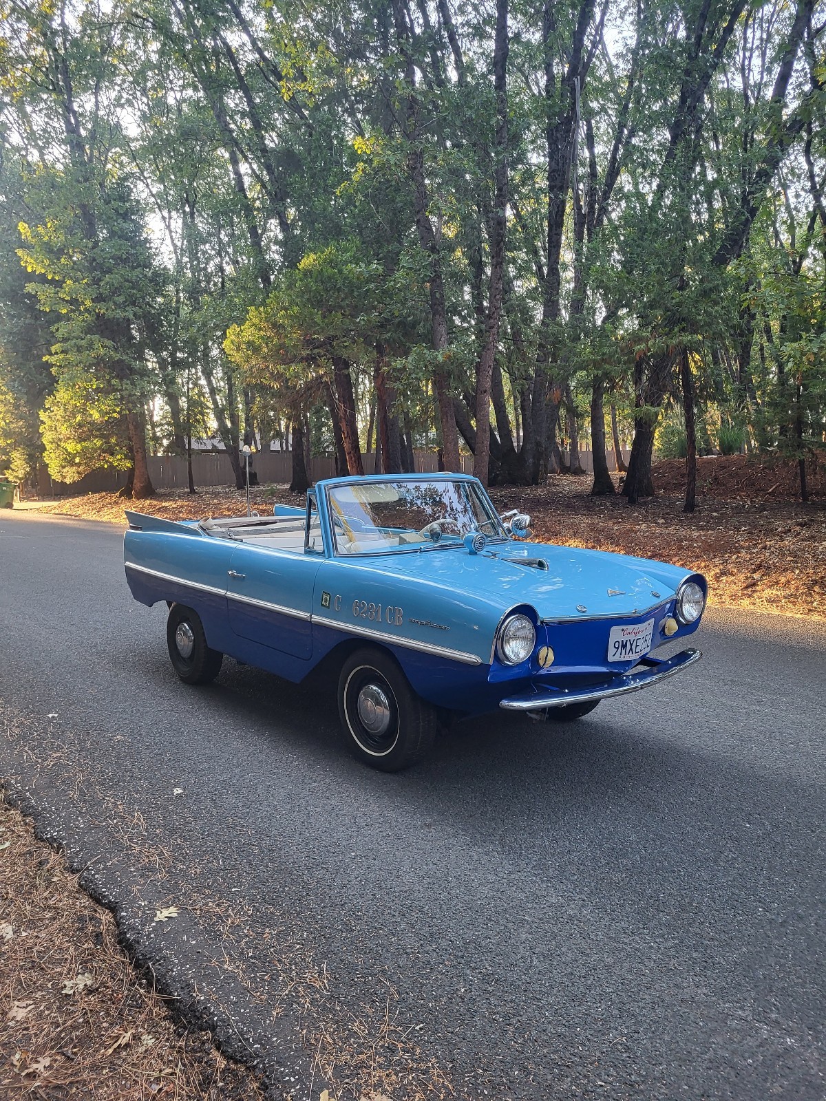 Other-Makes-Amphicar-770-1962-9