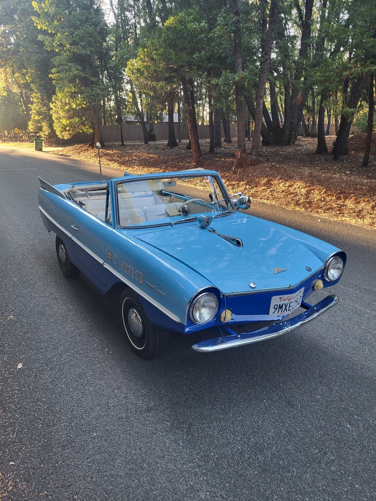 Other-Makes-Amphicar-770-1962