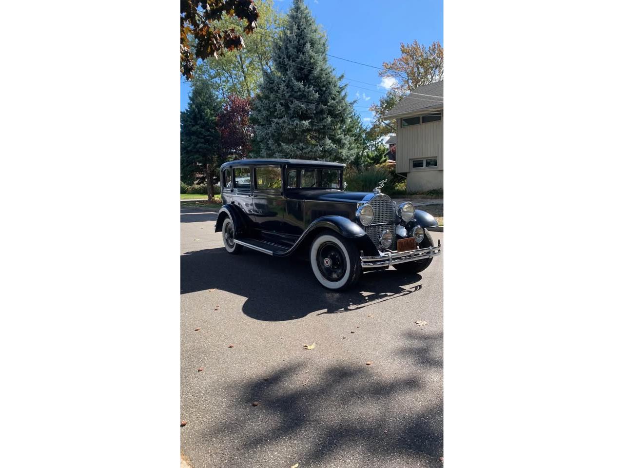 Packard-833-1931-Blue-Tan-12