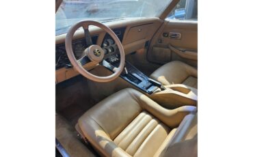 Phillips-Berlina-1981-BLACK-BEIGE-5