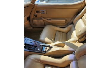 Phillips-Berlina-1981-BLACK-BEIGE-6