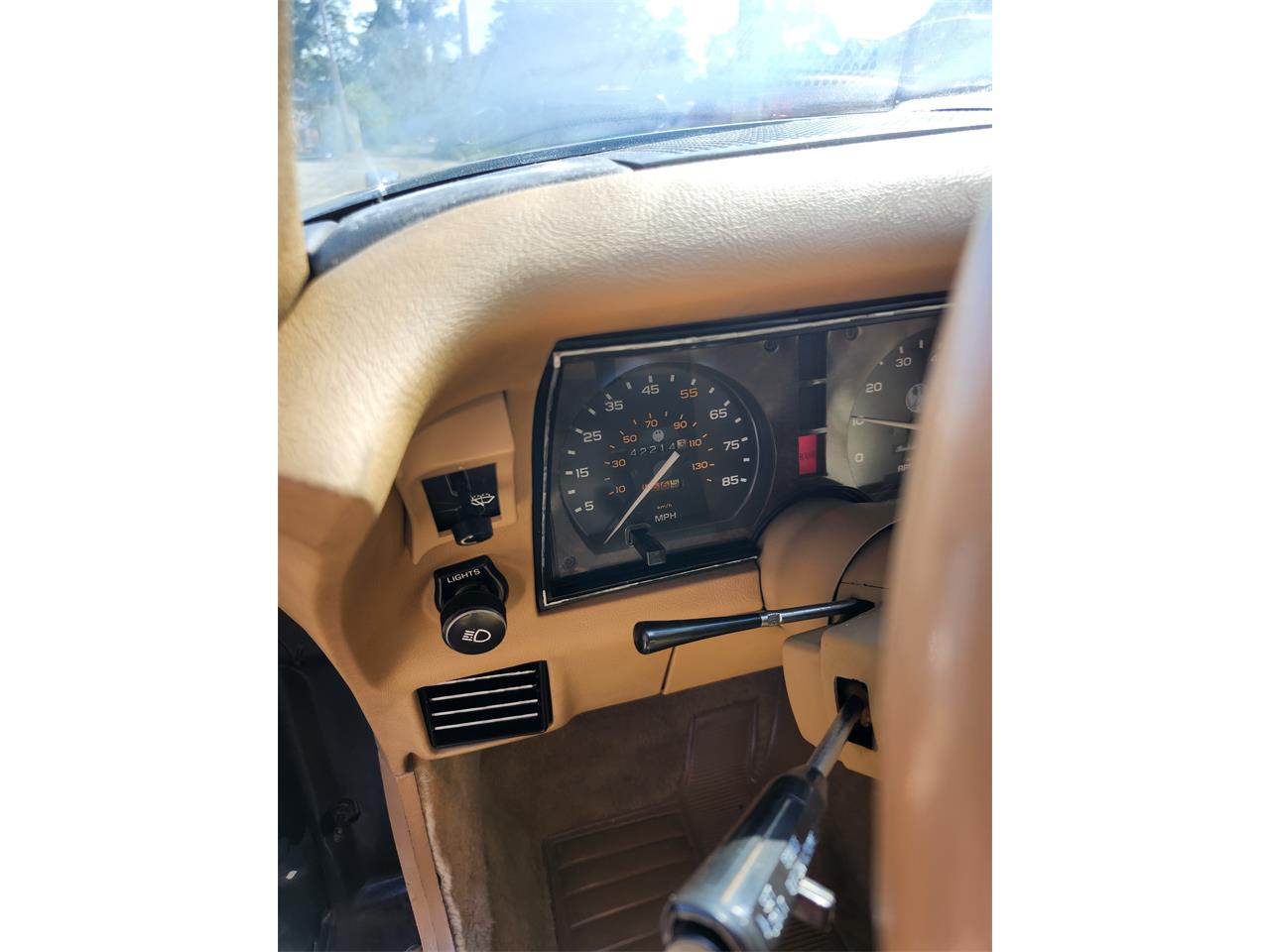 Phillips-Berlina-1981-BLACK-BEIGE-8