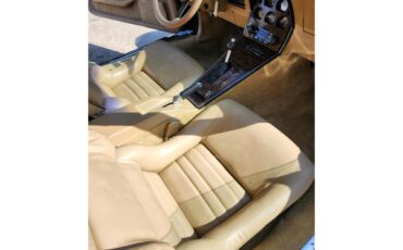 Phillips-Berlina-1981-BLACK-BEIGE-9