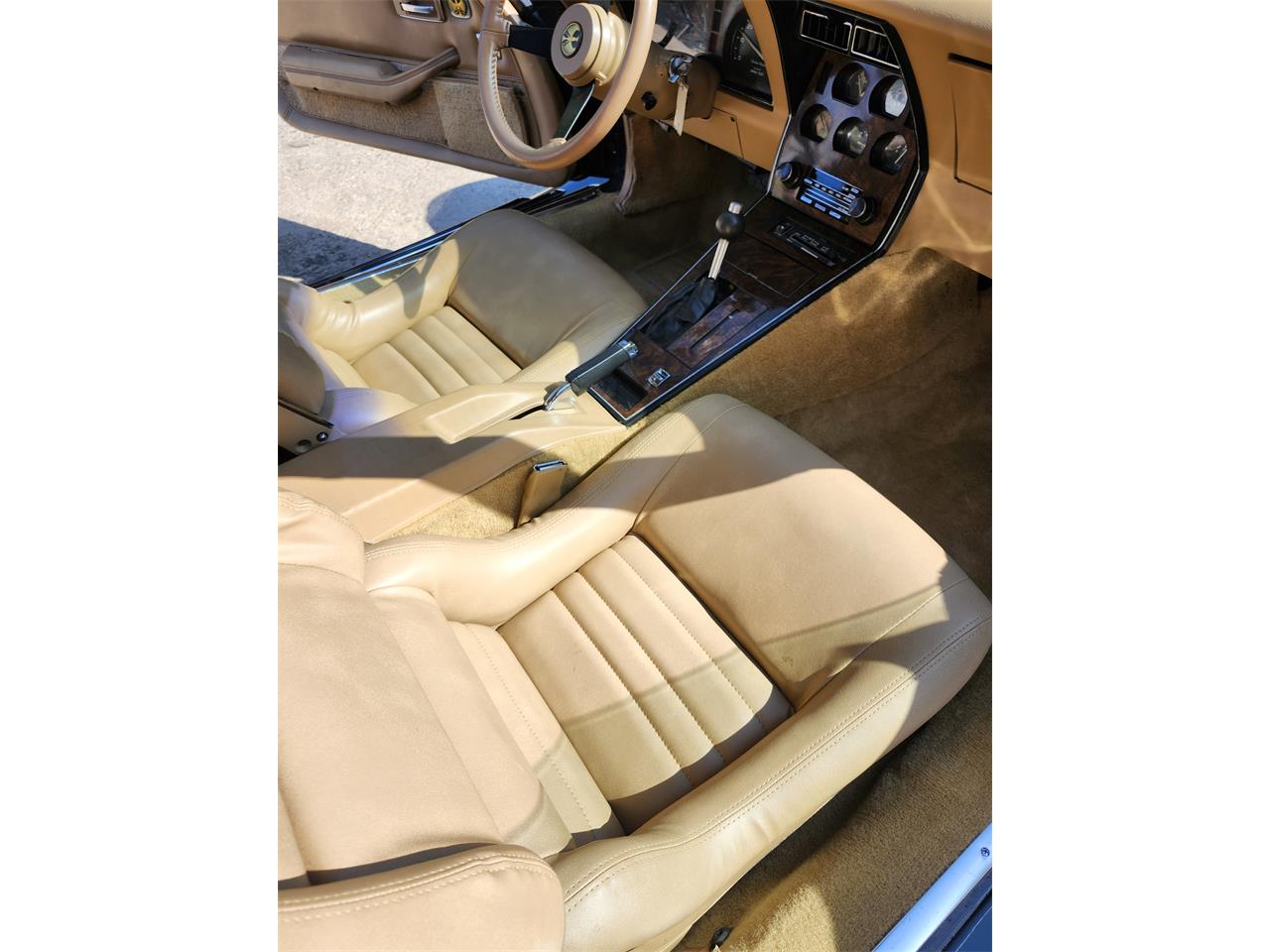 Phillips-Berlina-1981-BLACK-BEIGE-9