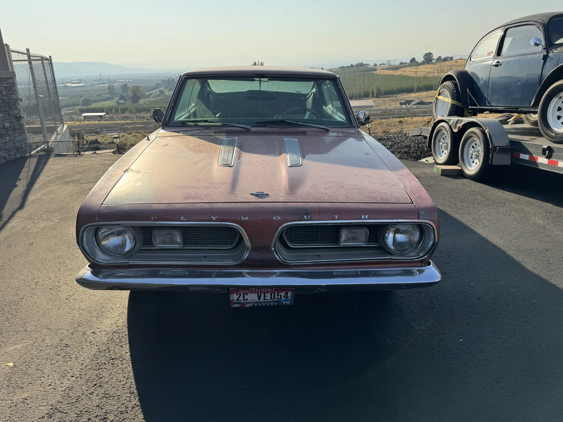Plymouth-Barracuda-1969-Brown-Off-White-1