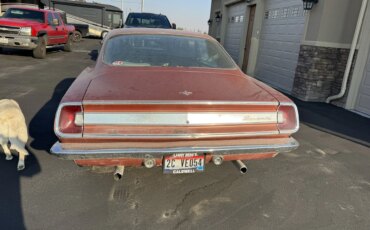 Plymouth-Barracuda-1969-Brown-Off-White-5