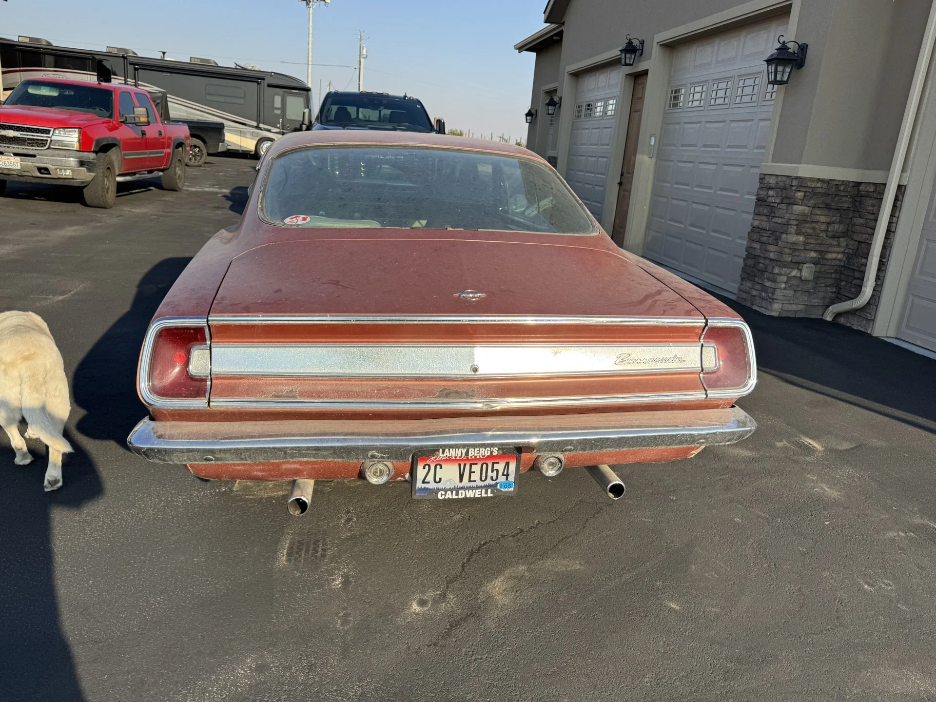 Plymouth-Barracuda-1969-Brown-Off-White-5