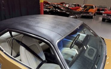 Plymouth-Barracuda-1974-Coupe-27