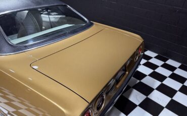 Plymouth-Barracuda-1974-Coupe-34