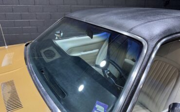 Plymouth-Barracuda-1974-Coupe-39