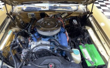 Plymouth-Barracuda-1974-Coupe-6