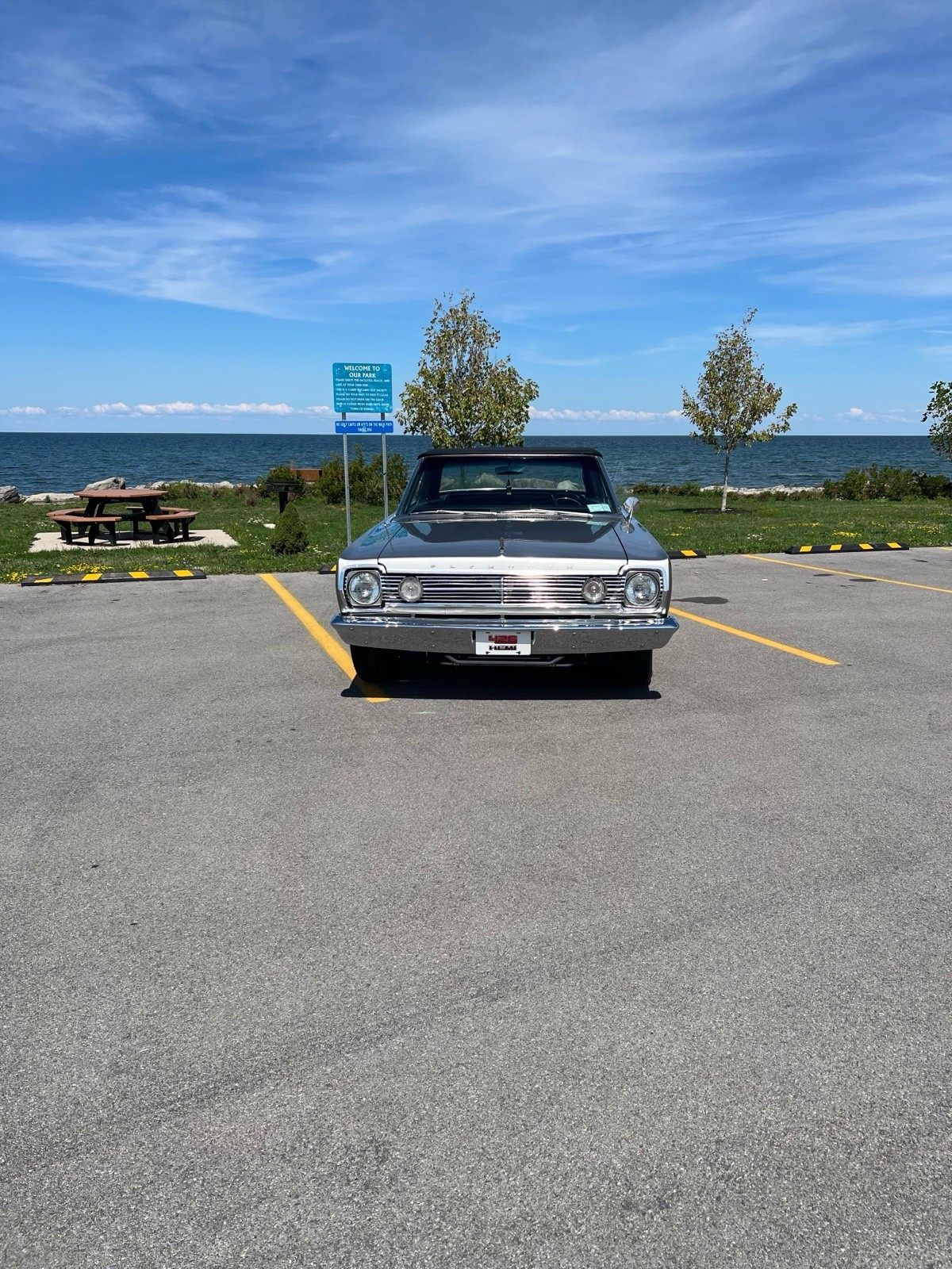 Plymouth-Belvedere-1966-3