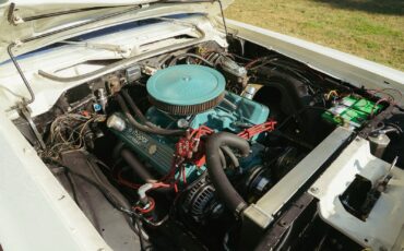 Plymouth-Fury-1975-Coupe-10