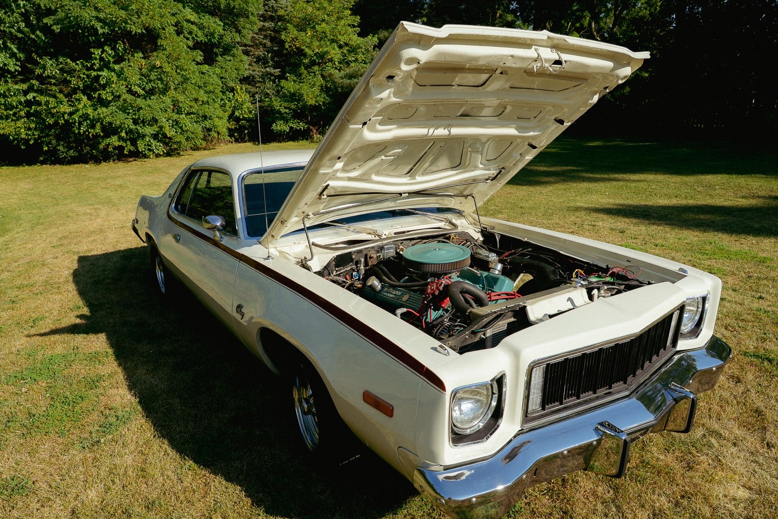 Plymouth-Fury-1975-Coupe-4