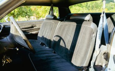 Plymouth-Fury-1975-Coupe-8