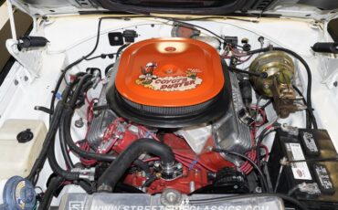 Plymouth-Road-runner-1969-White-Black-14