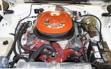 Plymouth-Road-runner-1969-White-Black-45