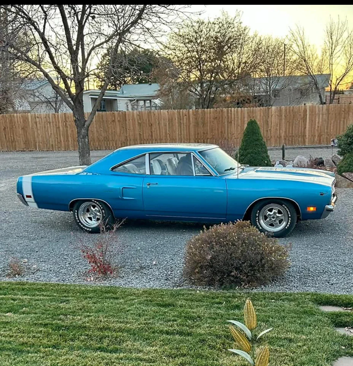 Plymouth-Roadrunner-1970-Blue-Blue-10