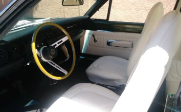 Plymouth-Roadrunner-1970-Green-White-17