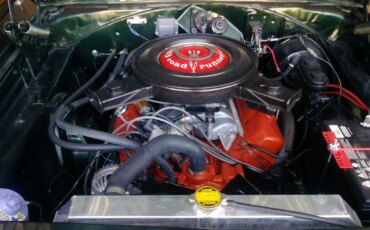 Plymouth-Roadrunner-1970-Green-White-19
