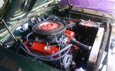Plymouth-Roadrunner-1970-Green-White-42