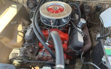 Plymouth-barracuda-1965-brown-5