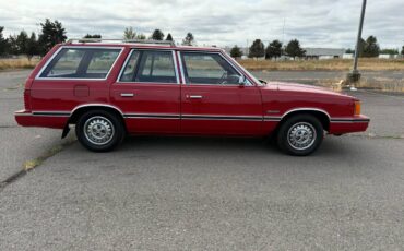 Plymouth-reliant-sp.-edition-1981-red-10
