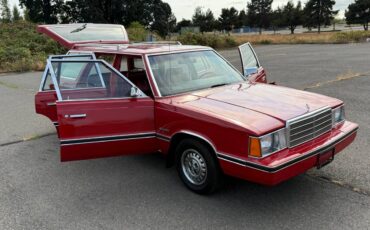 Plymouth-reliant-sp.-edition-1981-red-13