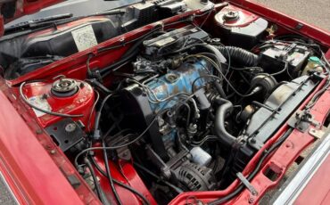 Plymouth-reliant-sp.-edition-1981-red-2