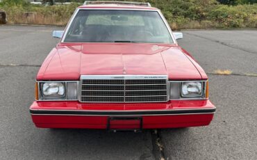 Plymouth-reliant-sp.-edition-1981-red-5