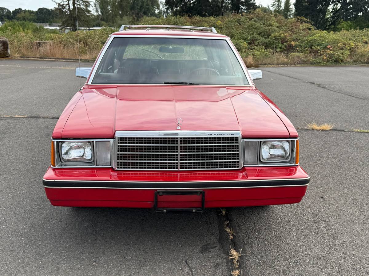 Plymouth-reliant-sp.-edition-1981-red-5