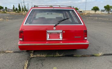 Plymouth-reliant-sp.-edition-1981-red-8