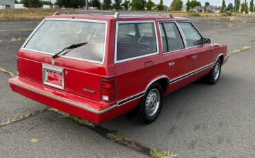 Plymouth-reliant-sp.-edition-1981-red-9