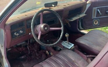 Plymouth-road-runner-1977-8
