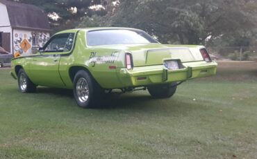 Plymouth-roadrunner-1975-green-16