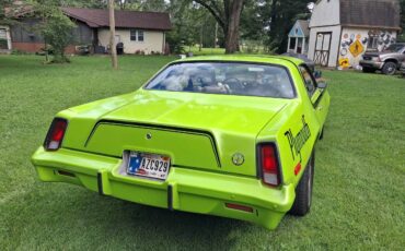 Plymouth-roadrunner-1975-green-19