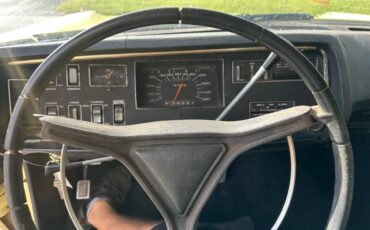 Plymouth-sport-suburban-1969-yellow-19