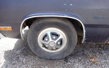 Plymouth-svamp-1975-blue-12